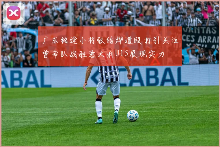 广东铭途小将张皓烨遭殴打引关注曾率队战胜意大利U15展现实力