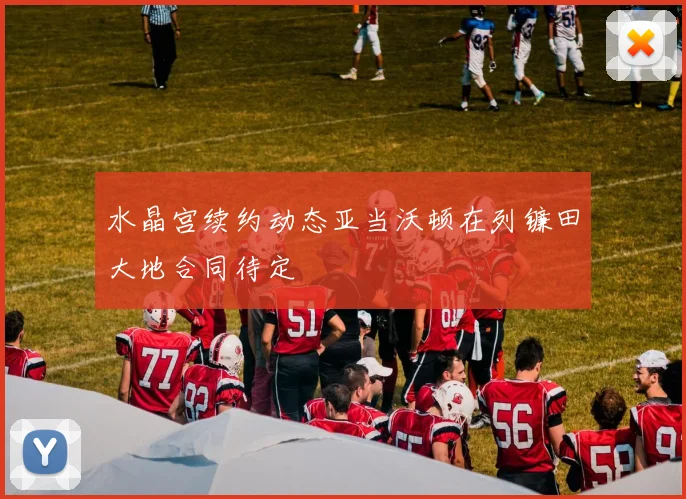 水晶宫续约动态亚当沃顿在列镰田大地合同待定